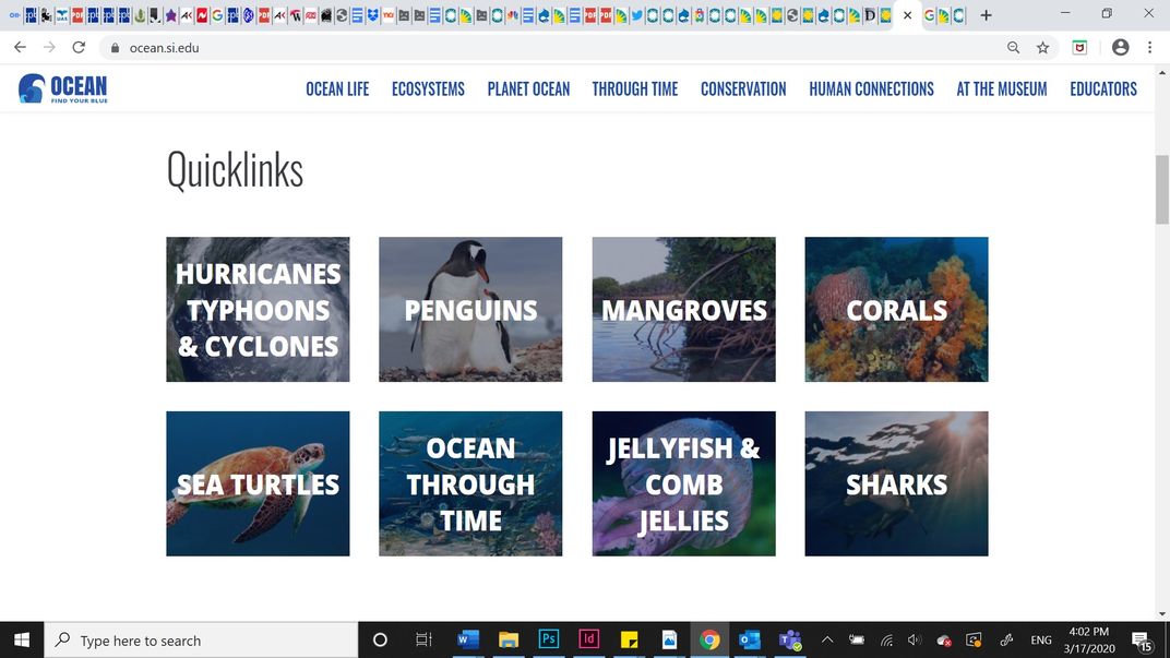 Screenshot of links to various ocean-related topics on the Ocean Portal website.